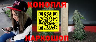 бошки Гусев
