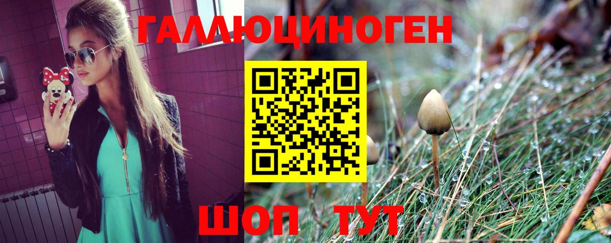 Новодвинск  Галлюциногенные грибы прущие грибы  Галлюциногенные грибы Cubensis  Вход с VPN 