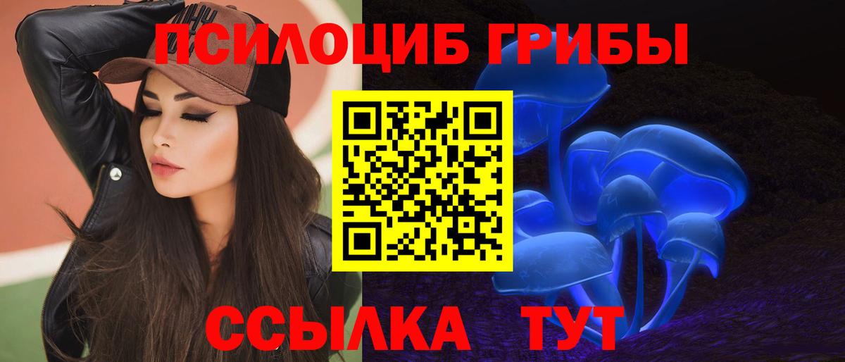 Галлюциногенные грибы мицелий Новодвинск