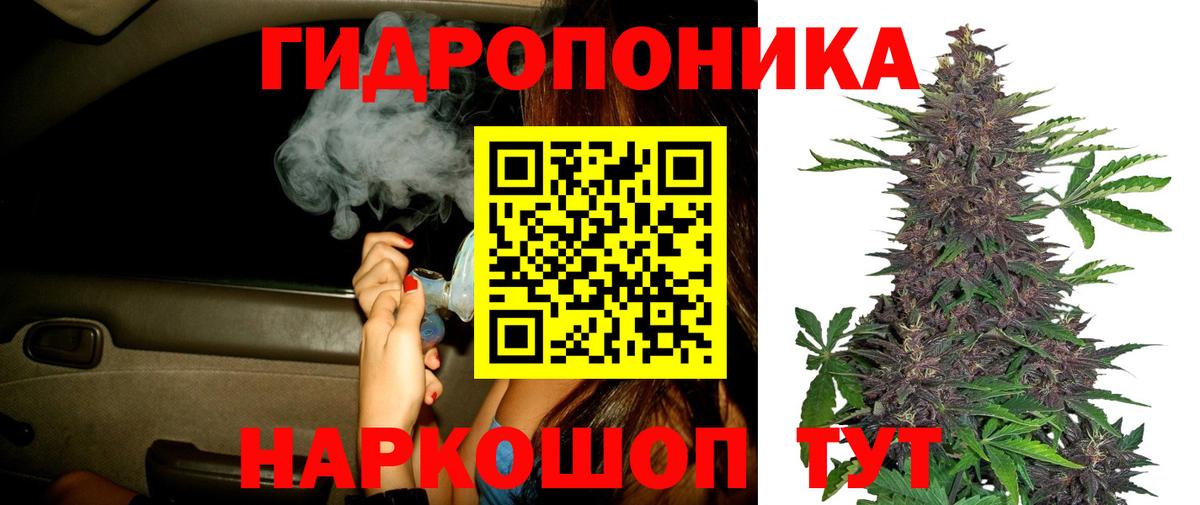 Марихуана THC 21% Новодвинск
