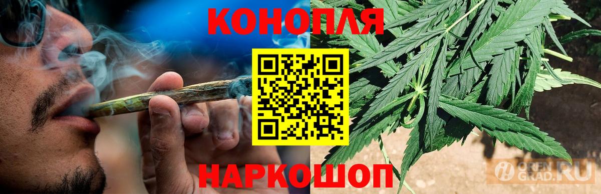 APVP Новодвинск